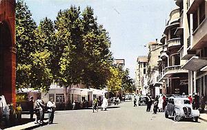 Tiaret 603